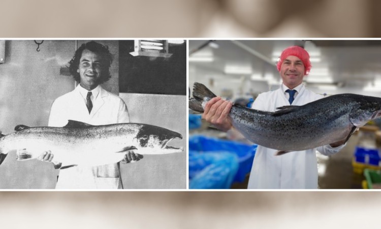 Our founder Andy celebrates 44 years in seafood today